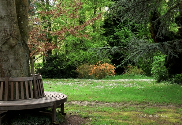 Bois des Moutiers (155) Mai 2012